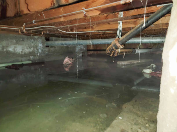 Best Flooded house restoration  in Westport, WA