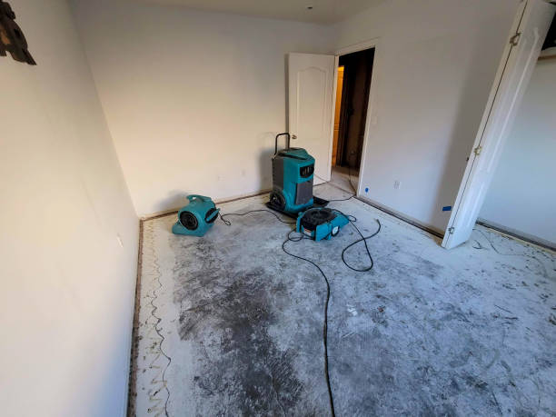 Best Water damage restoration near me  in Westport, WA