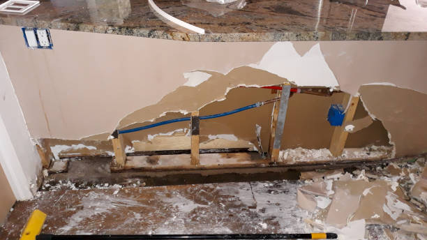 Best Ceiling water damage repair  in Westport, WA