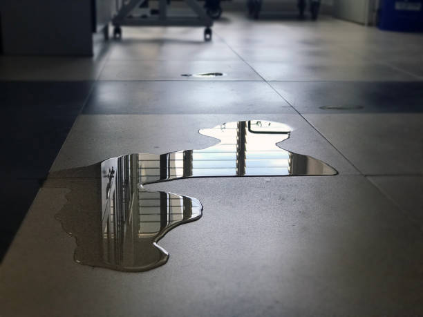 Best Water damage mitigation services  in Westport, WA