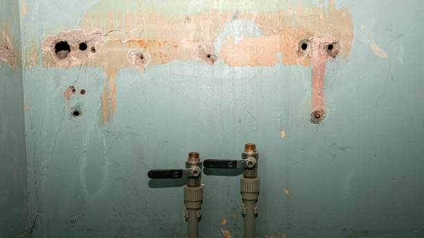 Best Ceiling water damage repair  in Westport, WA