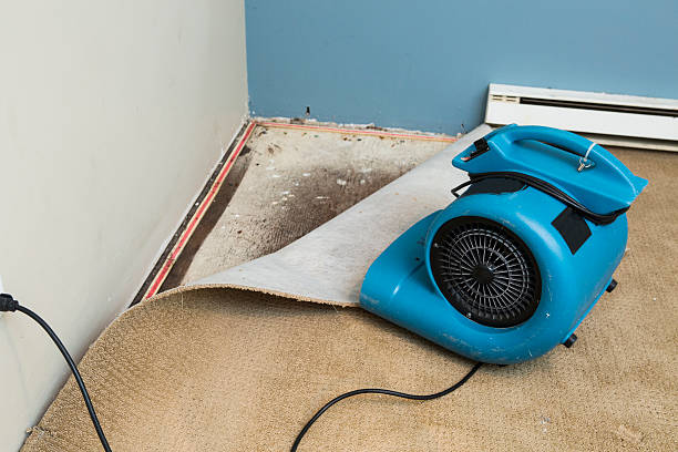 Best Residential water damage restoration  in Westport, WA